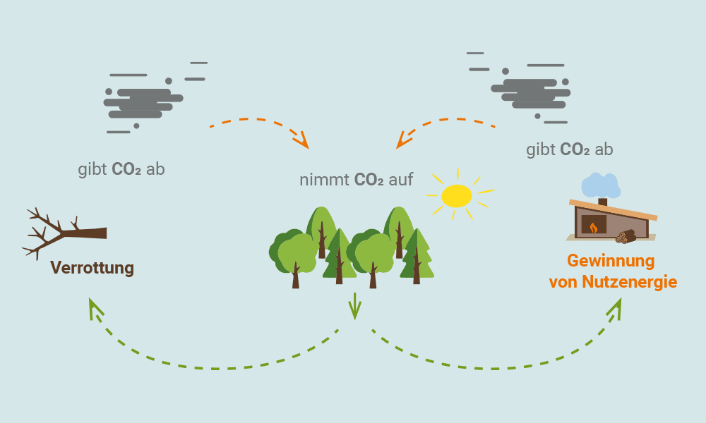 CO2-Kreislauf